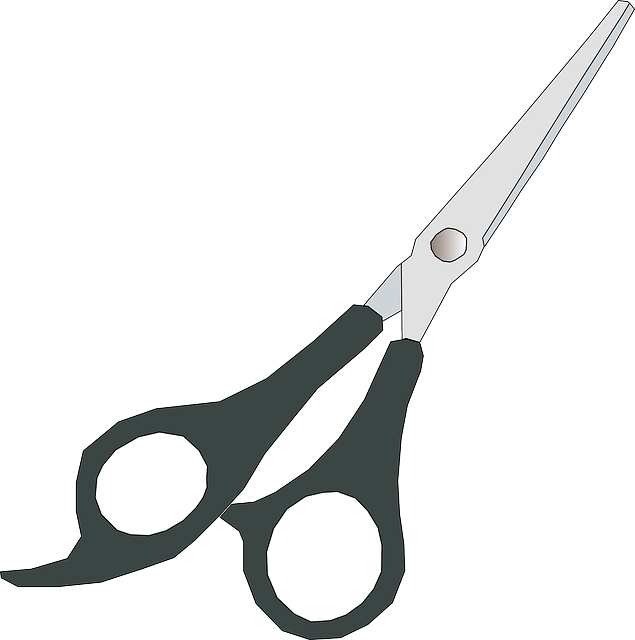 SCISSORS, OUTLINE, CARTOON, CLOSED, FREE, BARBER, HAIR - Public ...