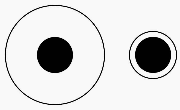 Optical Illusions For Kids With Answers | Genius Puzzles