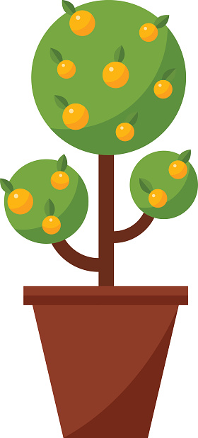 Orange Tree Clip Art, Vector Images & Illustrations