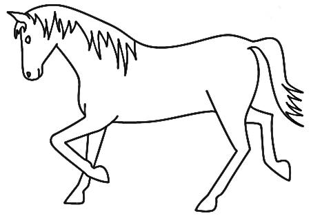 Animal Outline Drawings