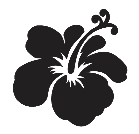 Hibiscus Stencil | eBay