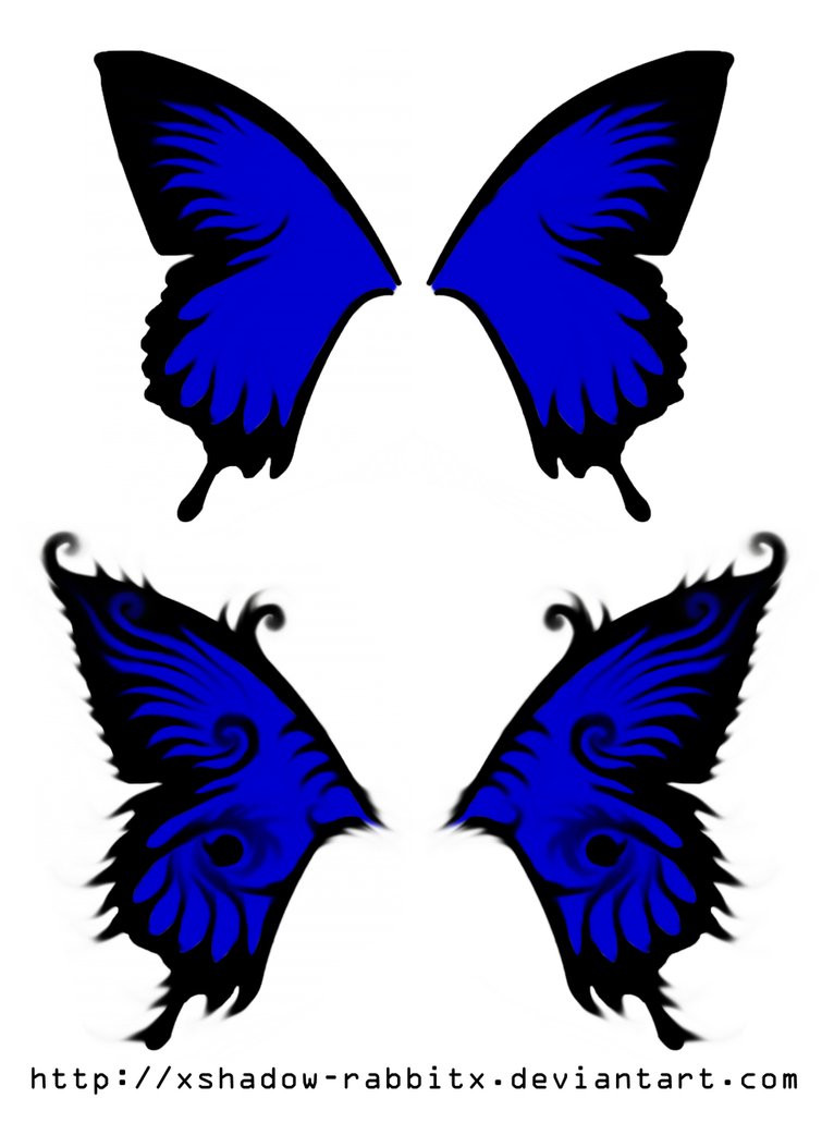Best Photos of Butterfly Wing Designs - Butterfly Wing Design ...