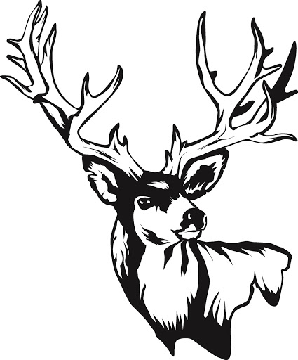 Drawings Of Deer Skulls | Free Download Clip Art | Free Clip Art ...