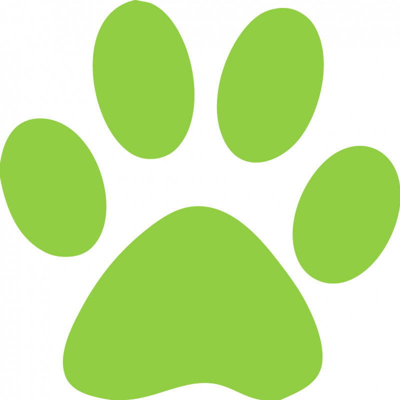 Green Paw Print Clip Art
