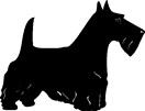 Mega Collection | Dog Breeds (1) - Galina Rozenfine (Vector Art ...
