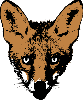 NIGHT FOX: April 2009