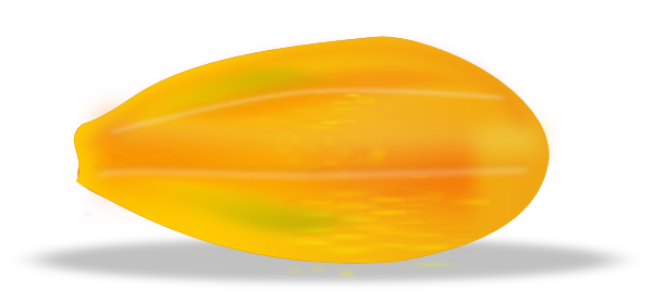 Papaya 3 clip art - vector clip art online, royalty free & public ...