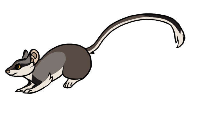 Morty running :animation: