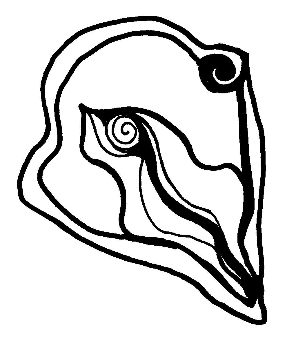 Seashell Template - ClipArt Best