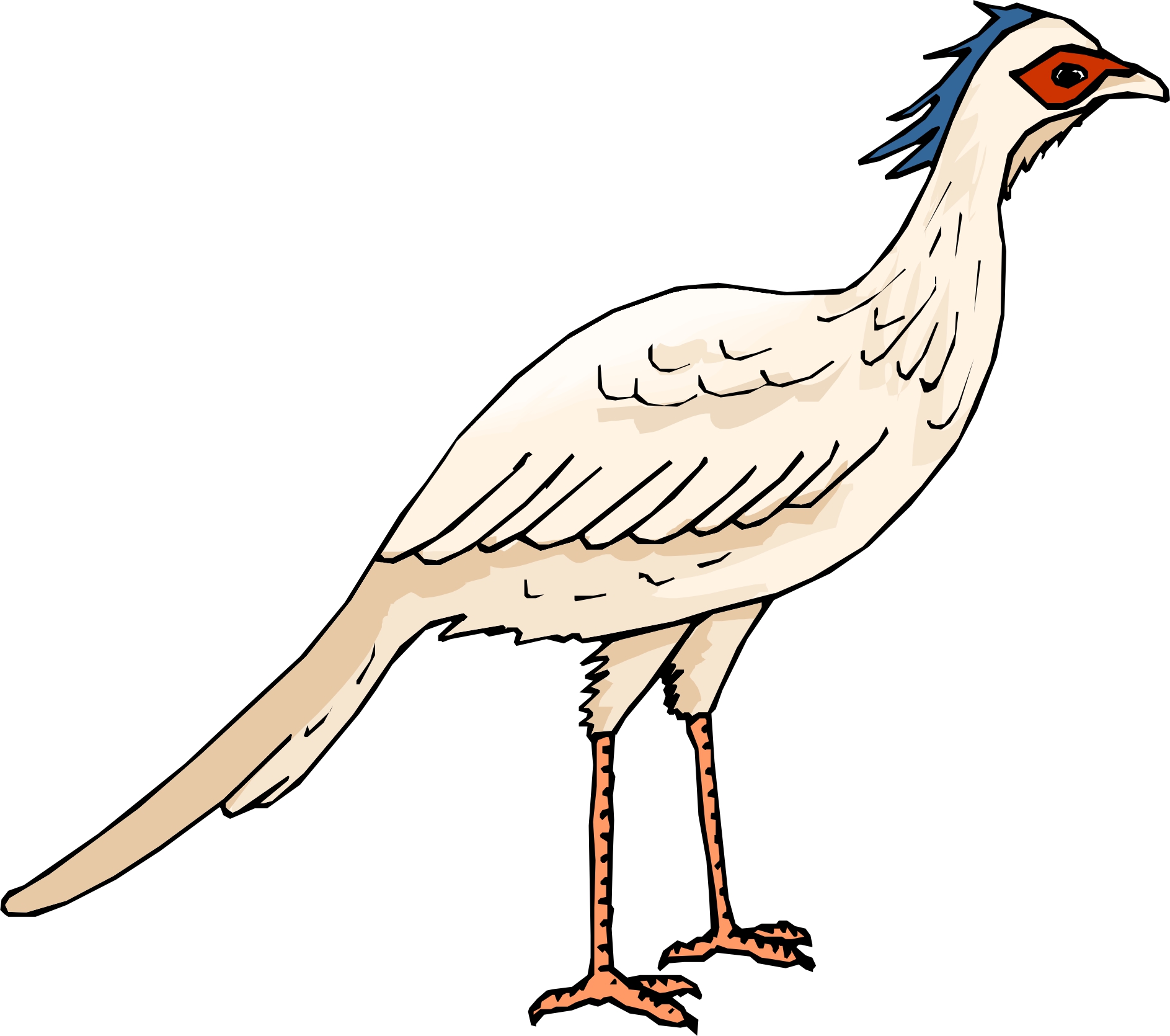 Cartoon Birds | Page 10