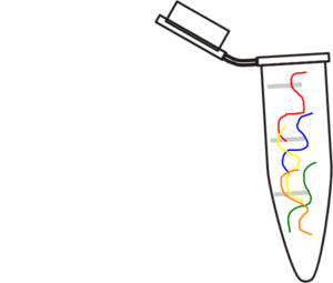Eppendorf Tube With Open Cap clip art - vector clip art online ...