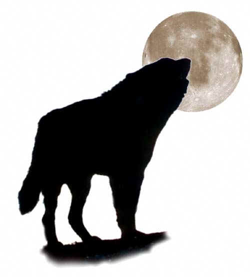 wolf howls 2
