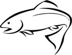 School Programs | Audubon Center at Bent of the River