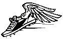Other Sports / Track & Field