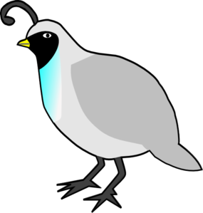 Cute Quail Clipart - Free Clipart Images