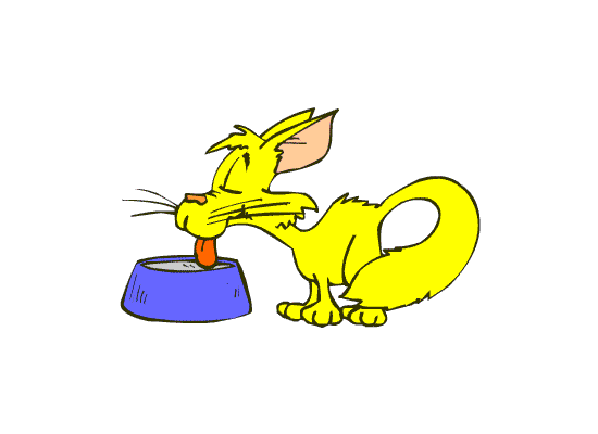 Cartoon Animated Gif