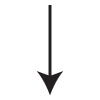 Patronage Refund Allocation - Stock Records - Southern States ...