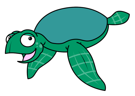 How to Draw a Turtle Cartoon Lesson