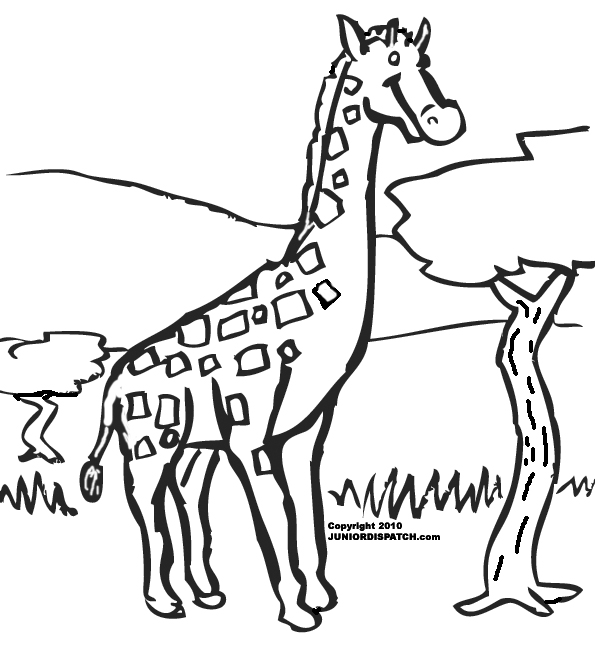 Giraffe Drawings For Kids 40019 | DFILES