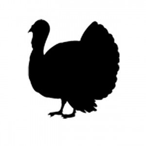 1000+ images about Cricut / SVG / Fall & Thanksgiving