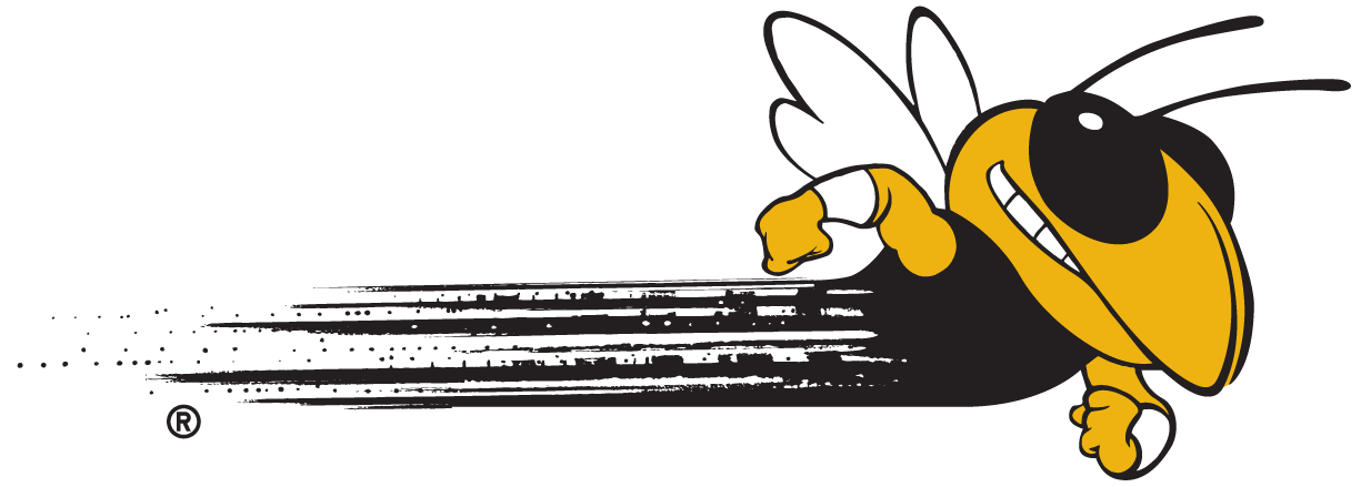 Georgia Tech Yellow Jackets Alternate Logo - NCAA Division I (d-h ...