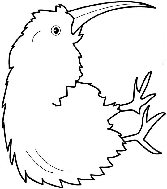 1000+ images about Animal Coloring Pages