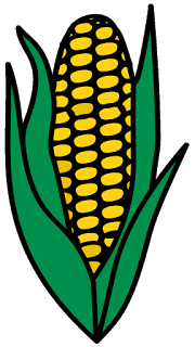 15 Surprising Corn Clipart For Free - Fruit Names A-Z With Pictures