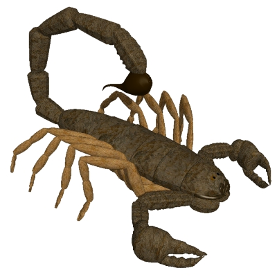 Scorpion clipart hostted 2
