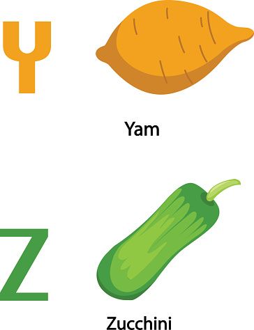 Cartoon Of Summer Squash Of Types Clip Art, Vector Images ...