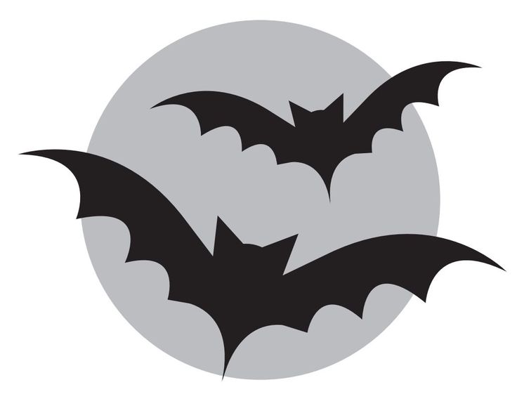 Bat Stencil | Halloween Pumpkin ...