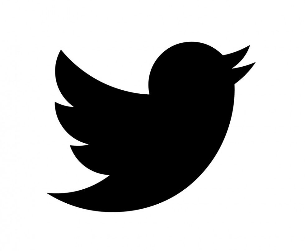 Vector Twitter Icon