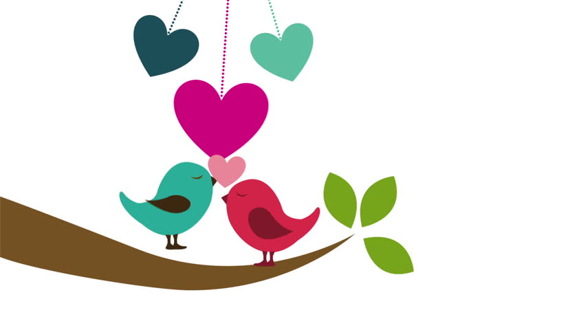 Birds in love, Animation Design, HD 1080 - Shutterstock #7542142 ...