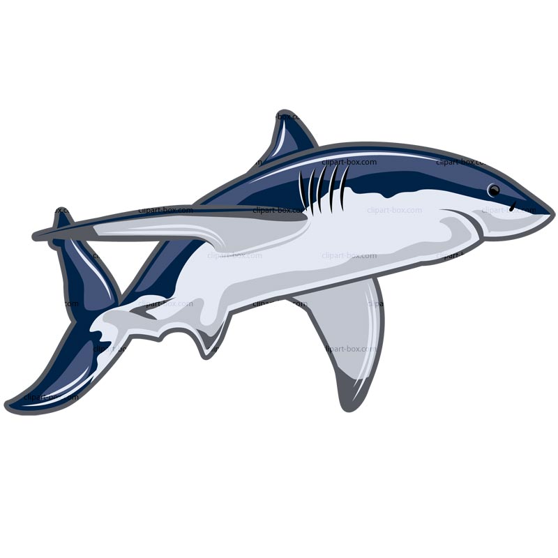 Free Shark Clipart | Free Download Clip Art | Free Clip Art | on ...