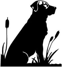 Duck Hunting Clipart - Tumundografico