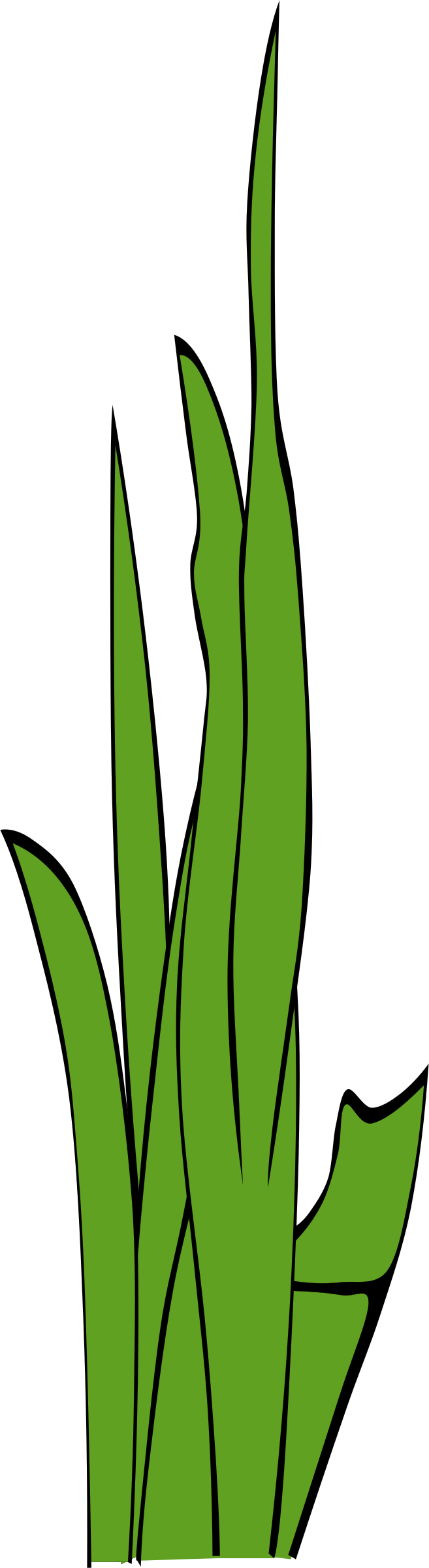Clipart - Grass Blades and Clumps 3