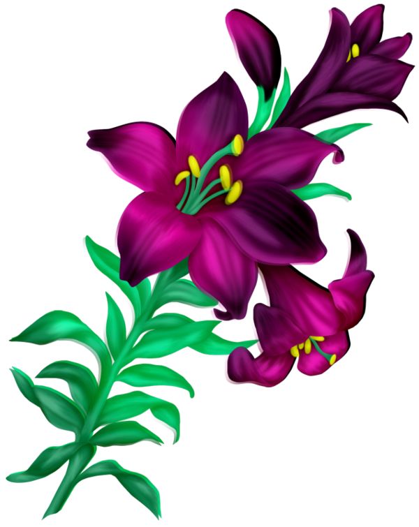 1000+ images about ArT oF fLoWeRs