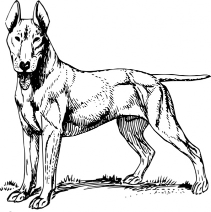 Download Bull Terrier clip art Vector Free