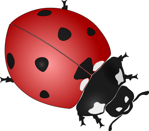 Everything Ladybug! The source for Ladybug Stuff!