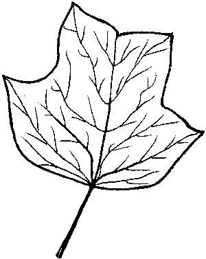 Rutgers University Ecological Preserve » Ecological Preserve ...