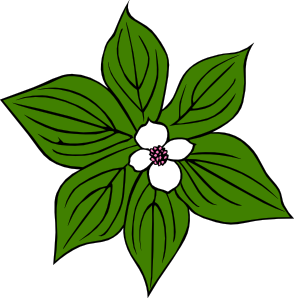 Green Flower clip art Free Vector