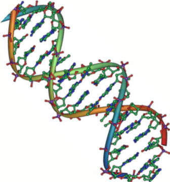 Double Helix Vector - ClipArt Best