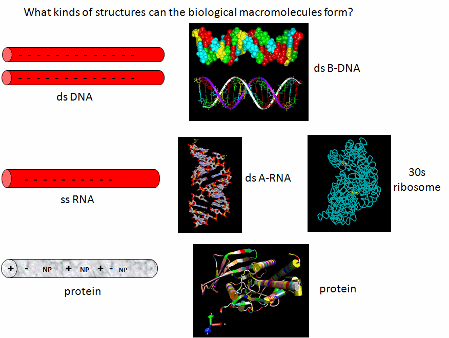 The Origin of Life