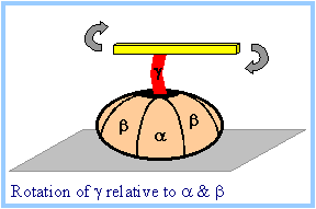 F1Fo ATPase