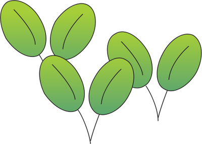 Deep water seagrass - Seagrass/SAV - Vector Illustration/Drawing ...