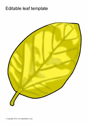 Plants and Nature-Themed Editable Classroom Display Resources ...