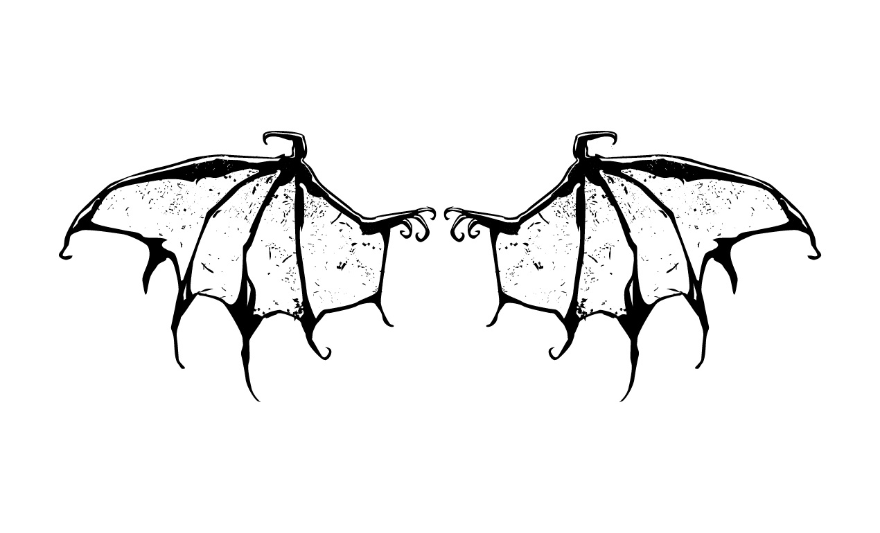 Pictures Of Skulls With Wings