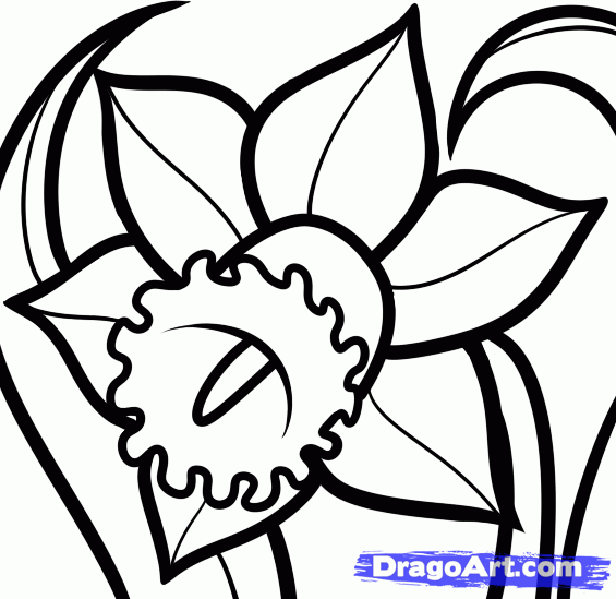 How to Draw a Narcissus, Step by Step, Flowers, Pop Culture, FREE ...