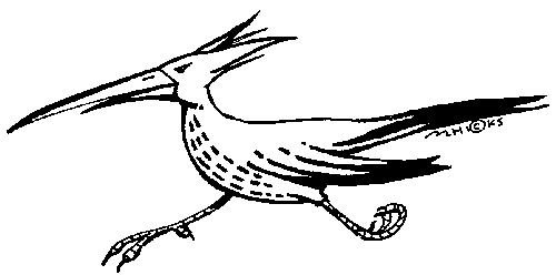 Roadrunner Clip Art Free - Free Clipart Images