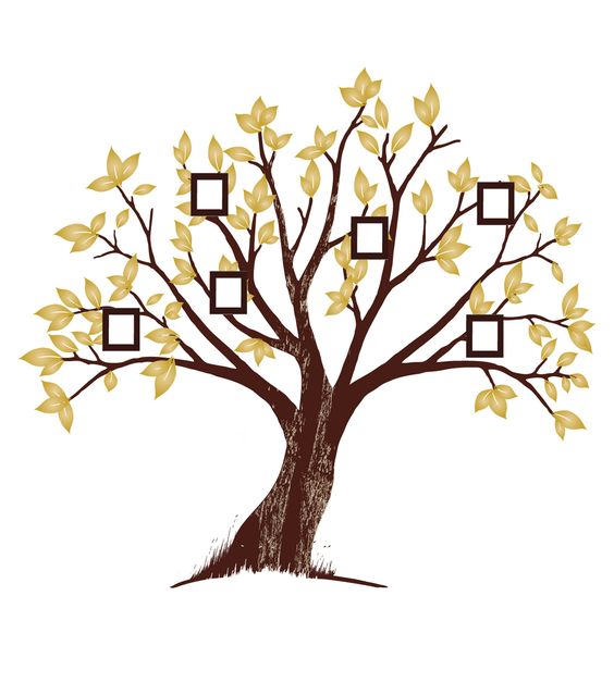 Design, Trees and UX/UI Designer