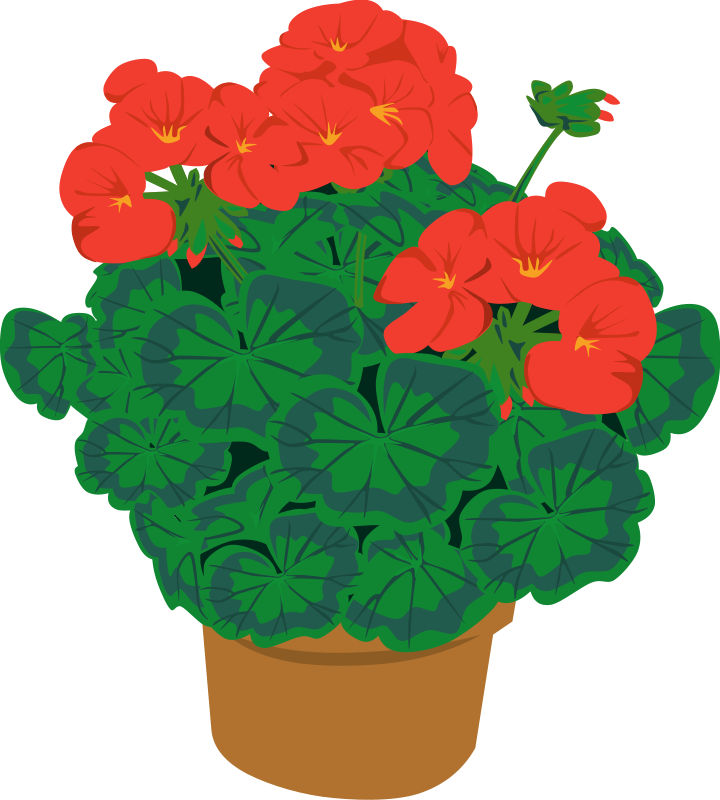 Flower Potted Plant Clipart